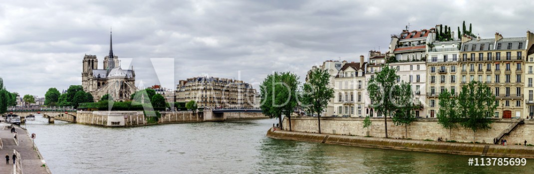 Picture of Seine river in Paris panoramic view
